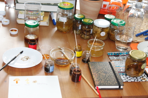 Malfarben aus Pilzen