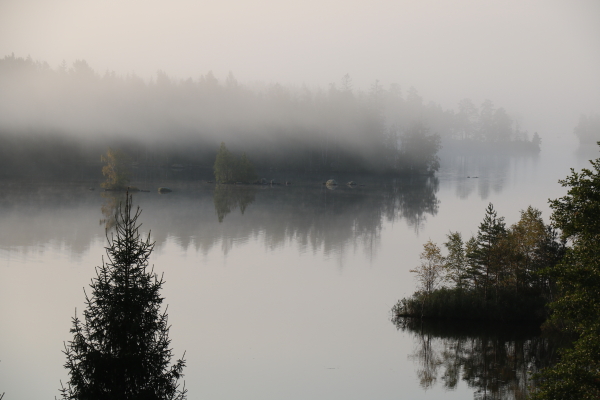 Nebel über dem See in Schweden