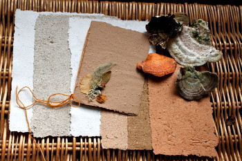 aus Pilzmasse geschöpftes Papier