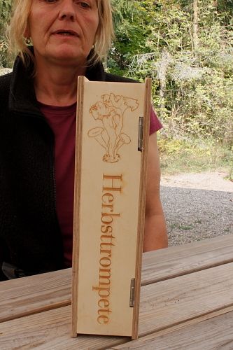 Rücken des kreativen Pilzbuches