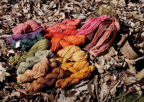 viele Farben mit Pilzen gefärbt