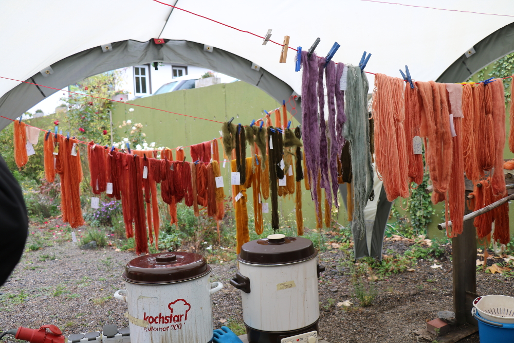 viele Farben mit Pilzen gefärbt