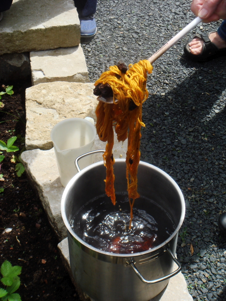 frisch gefärbte Wolle aus dem Topf gezogen